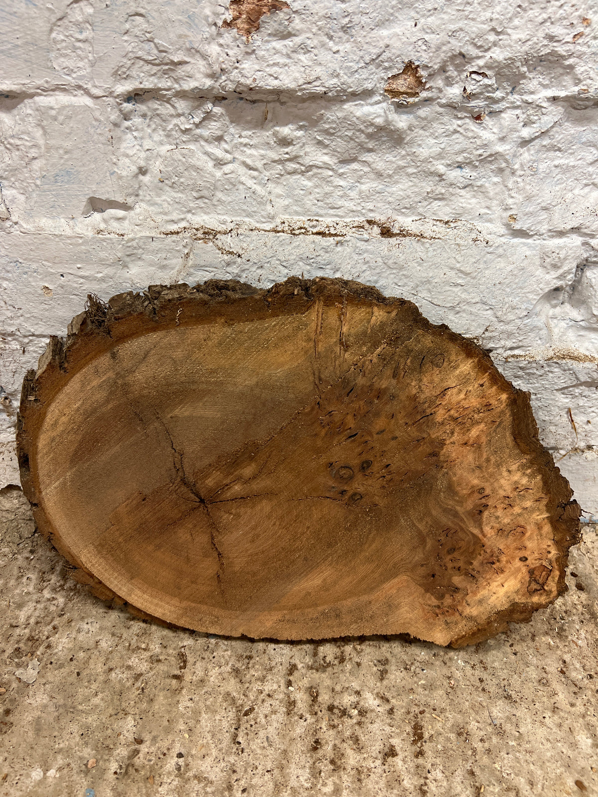 Burr Elm No 95 - 340x230x50mm Sawn