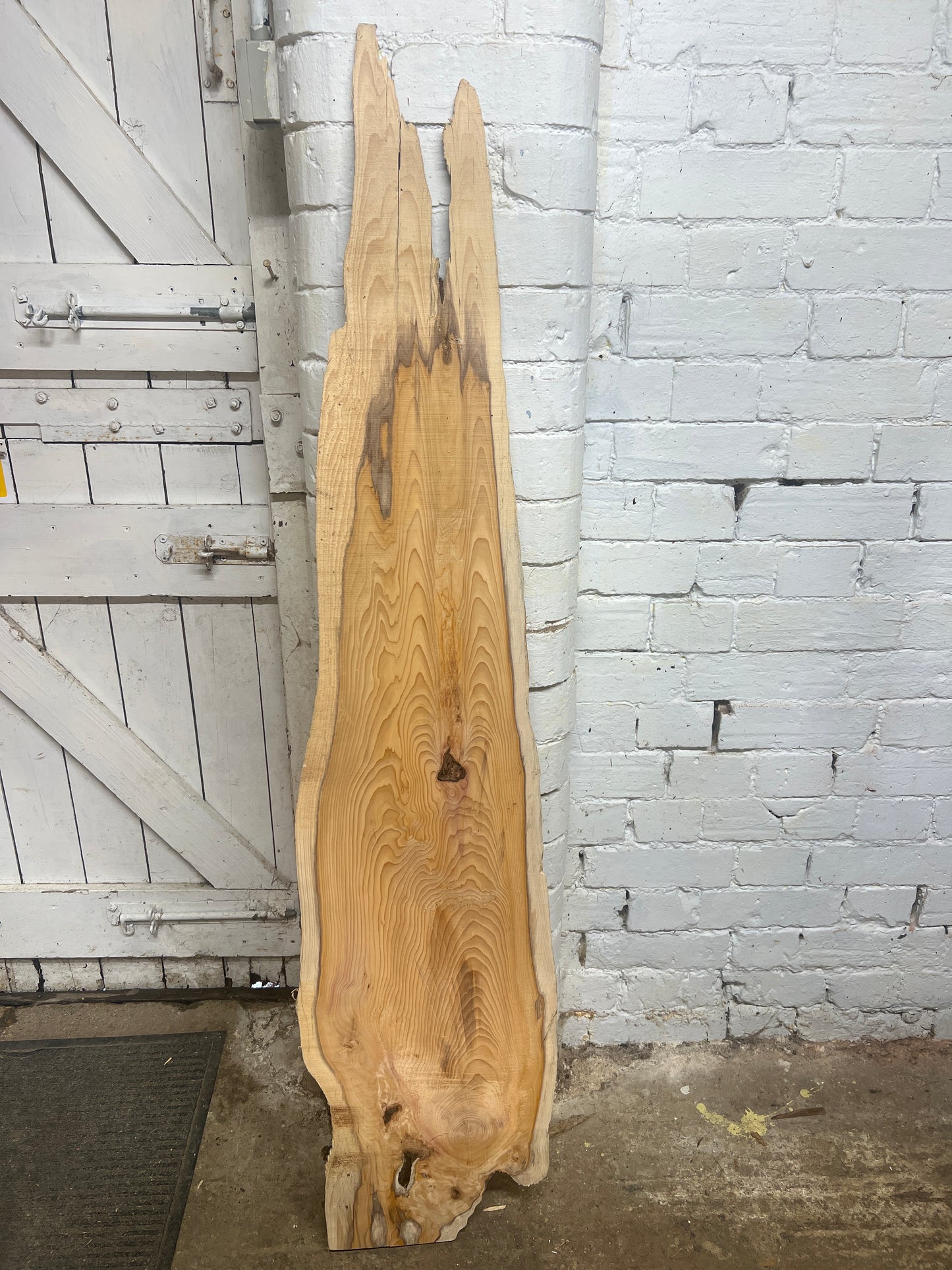Yew No 256 - 1480x200-330x50mm Planed