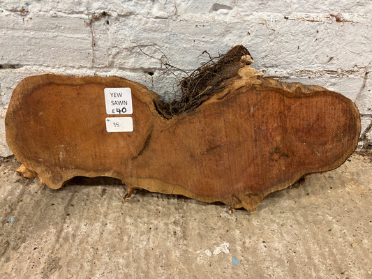 Yew No 95 - 510x150x44mm Sawn