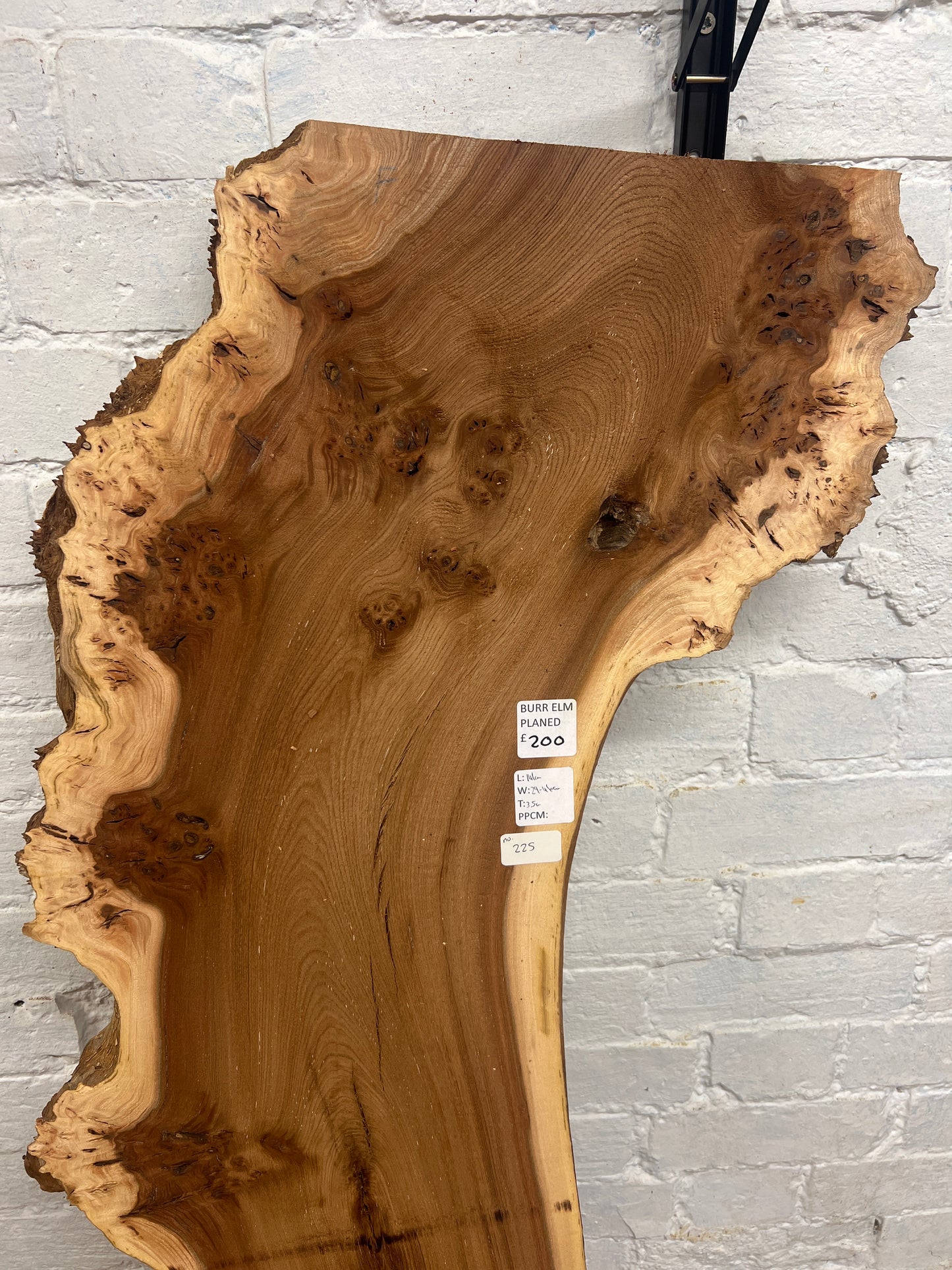 Burr Elm No 225 - 1410x290-460x35mm Planed