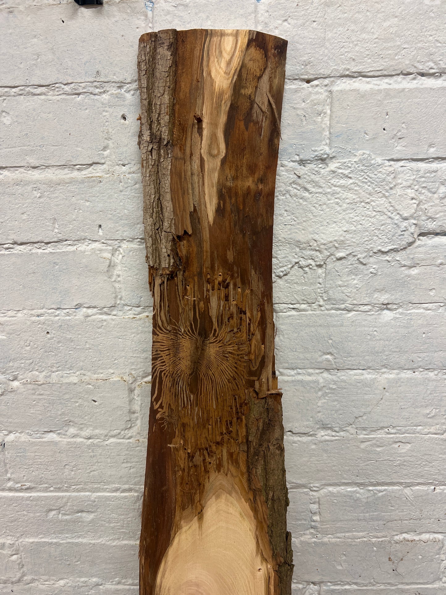 Elm No 9 - 1355x140-190x25mm Planed