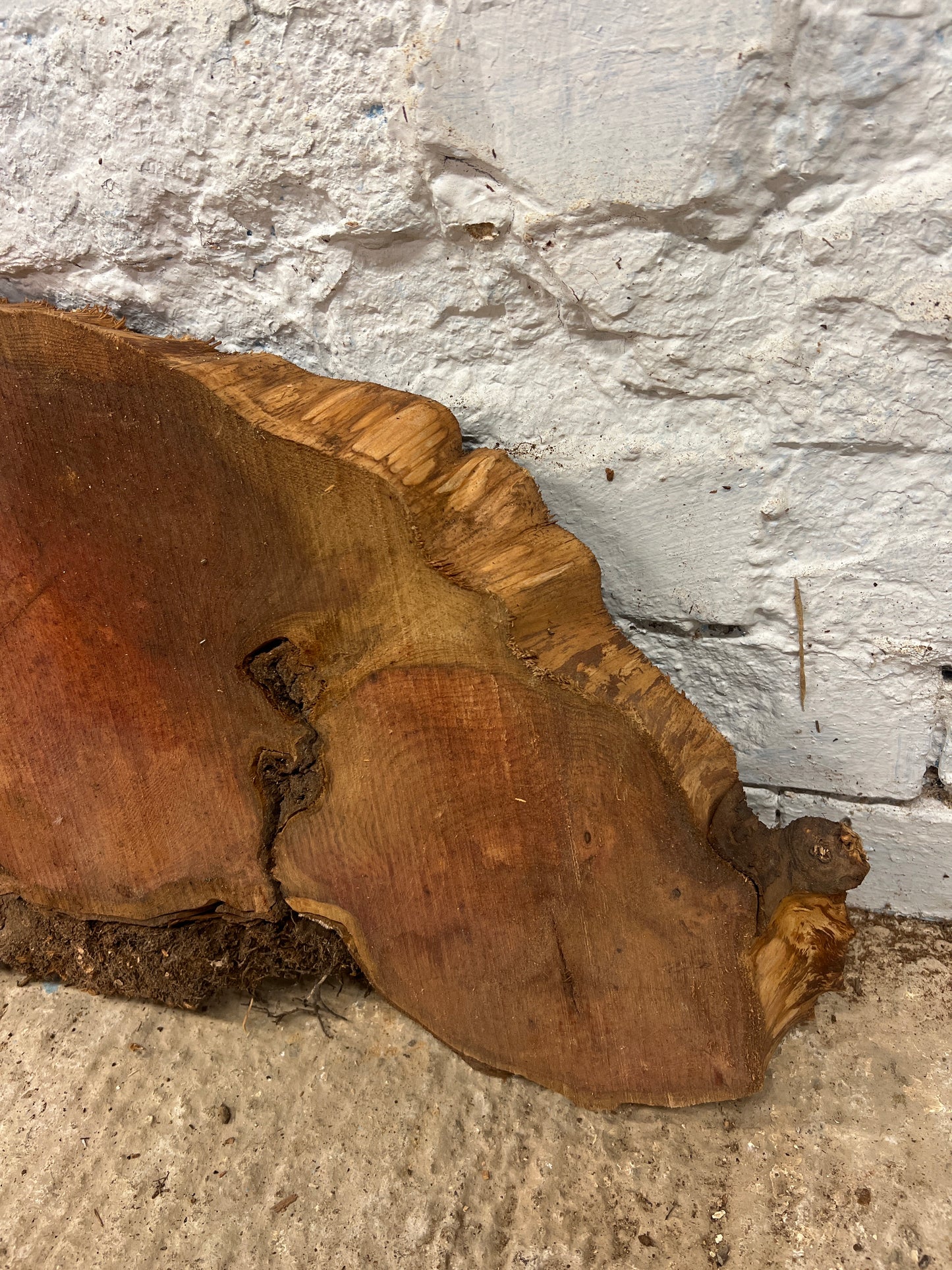 Yew No 107 - 340x620x40mm Sawn