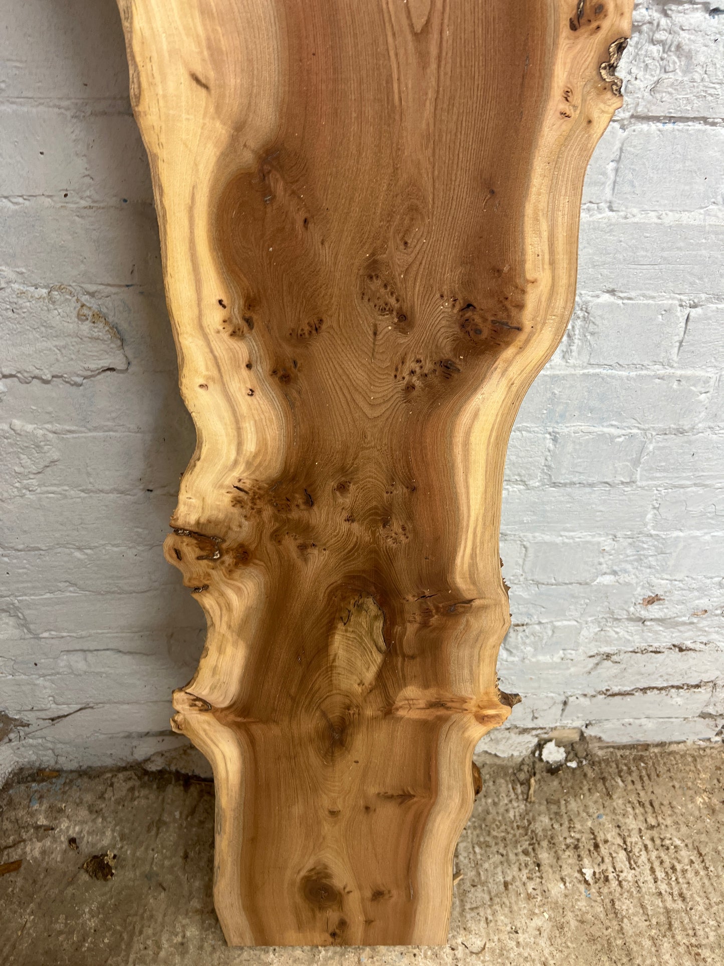 Burr Elm No 226 - 1770x250-350x40mm