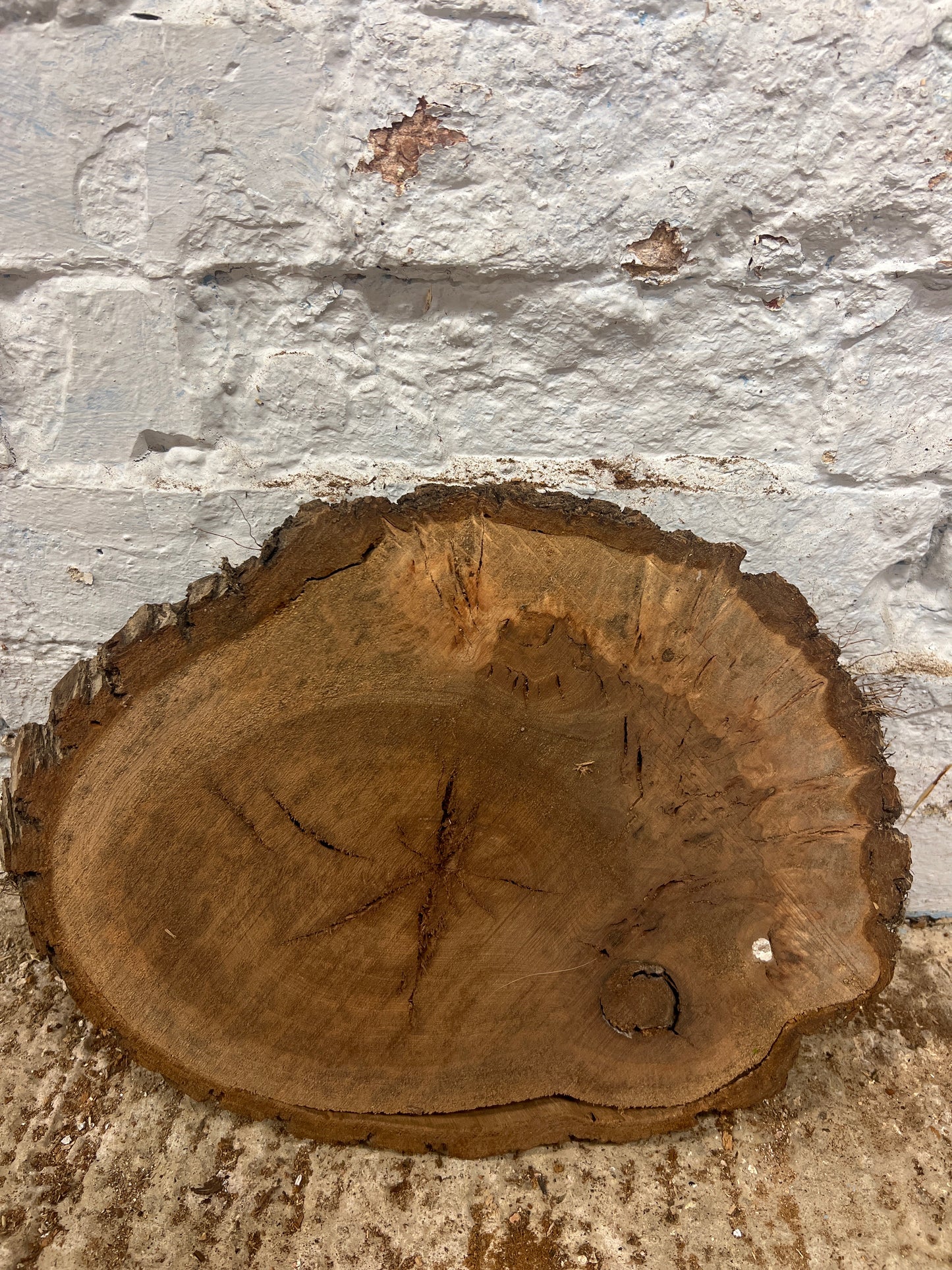 Burr Elm No 95 - 340x260x30mm Sawn