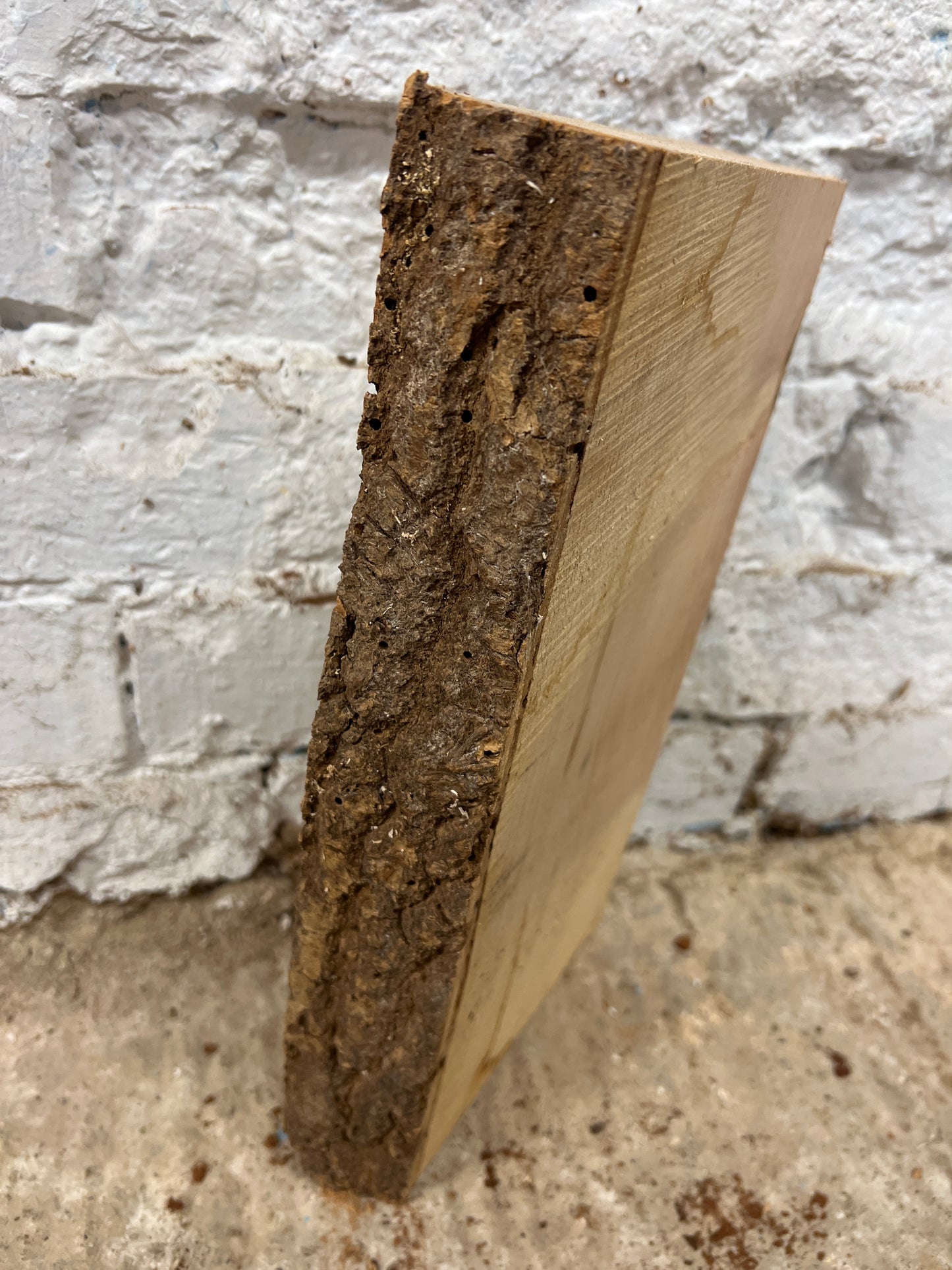 Ash No 59 - 325x160x50mm Planed