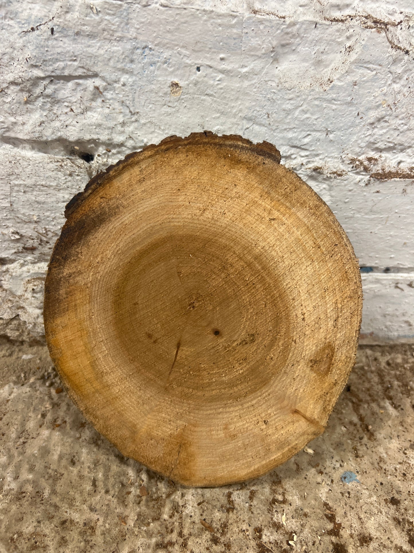 Elm No 195 - 180x190x35mm Sawn