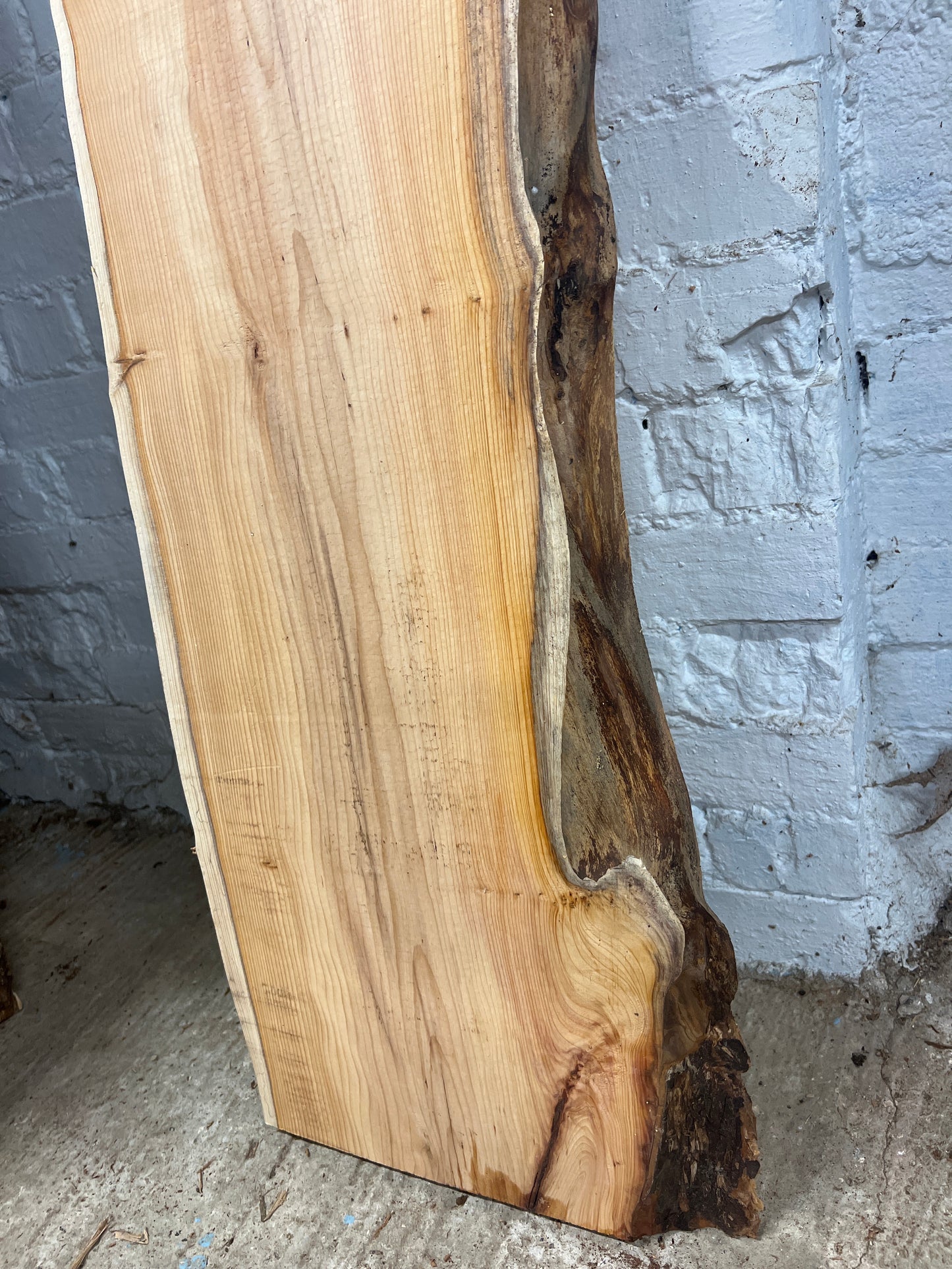 Yew No 81 - 1160x300- 390x40mm A