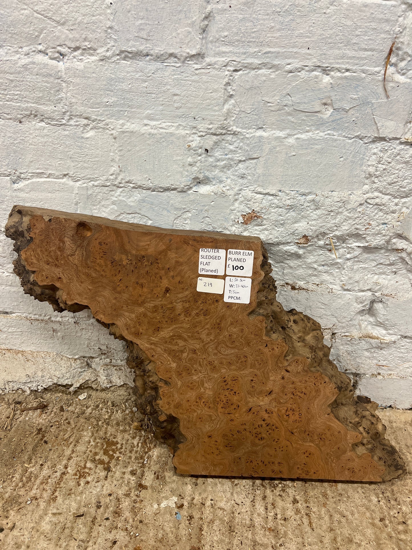 Burr Elm No 219 - 365x310-400x50mm Planed