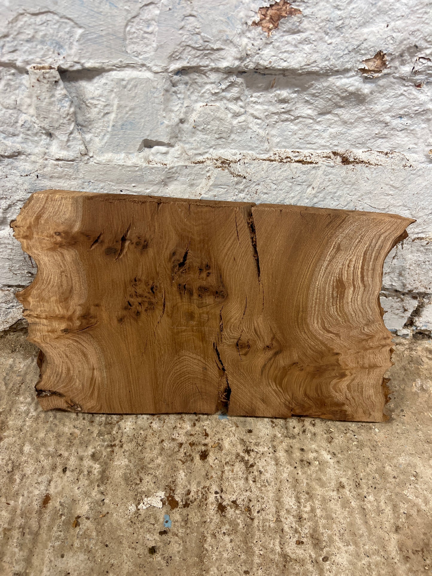 Burr Elm No 202 - 230x340x30mm Sawn