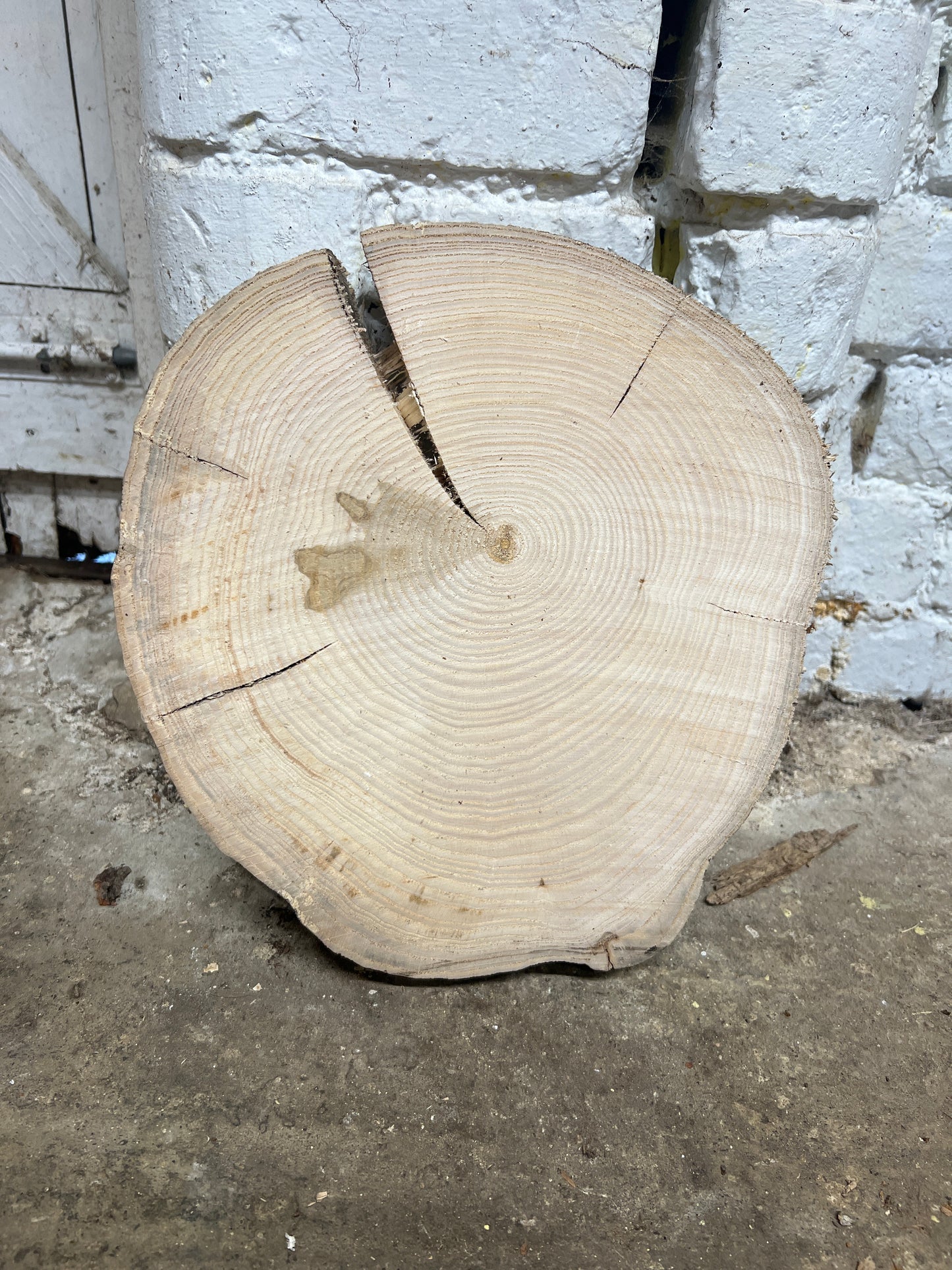 Ash No 144 - 330x300x40mm Sawn